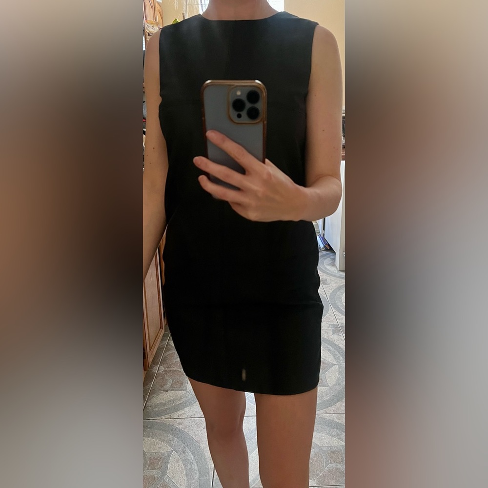 Zara dress